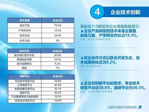 大连软件和信息技术服务业发展报告 聚焦软件外包服务的现状与未来